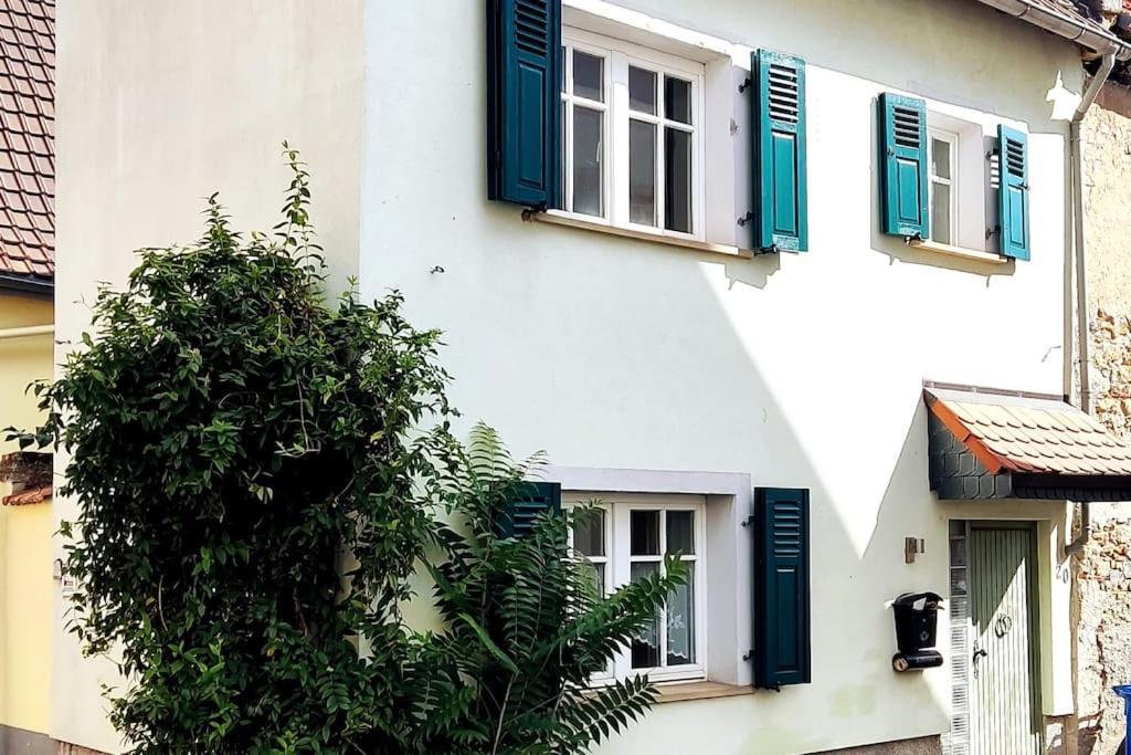 Schoenes Gemuetliches Haus Toplage Freinsheim Buitenkant foto